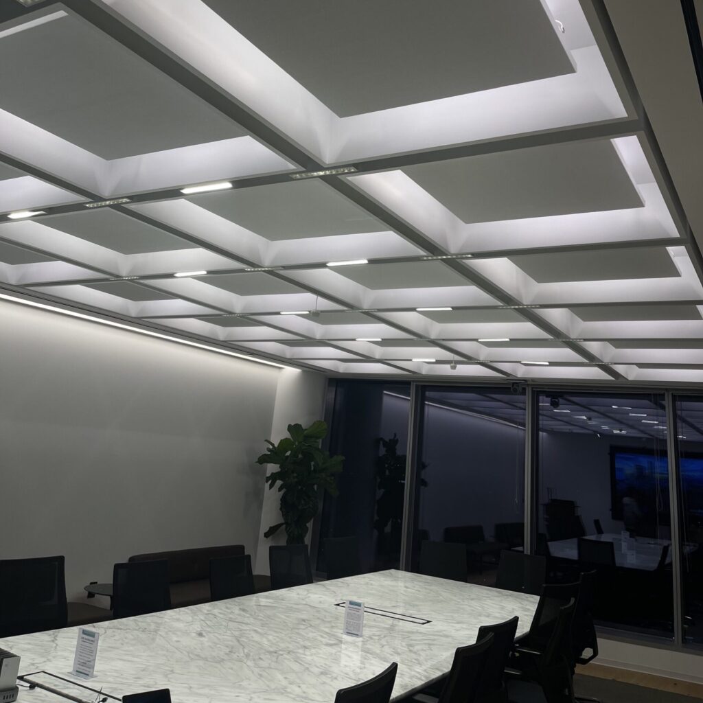 Specialty Lighting Ceiling